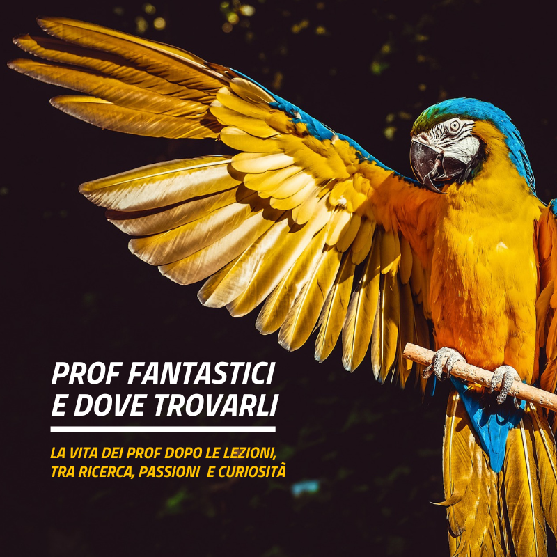 Podcast Prof fantastici e dove trovarli